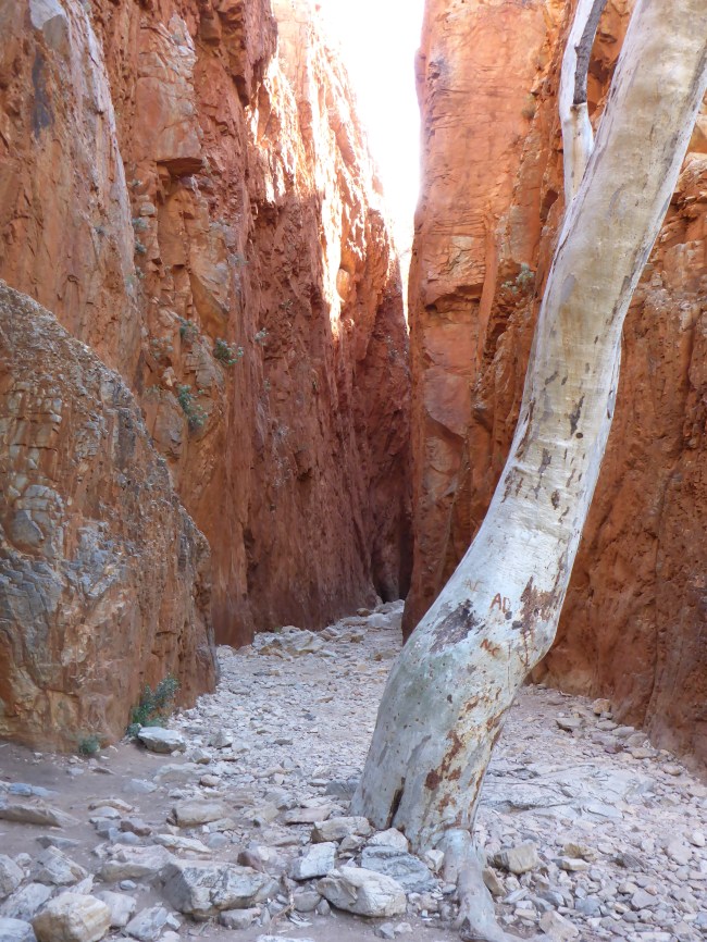 The entrance to Standly Chasm.