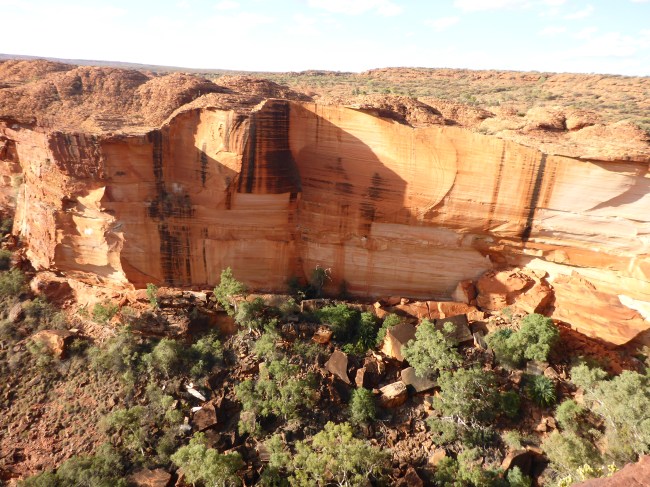 The north wall of the canyon. I loved it.