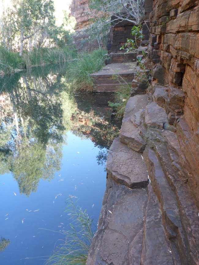 Cool, deep pools and hard, gray rock, down in Dales Gorge.