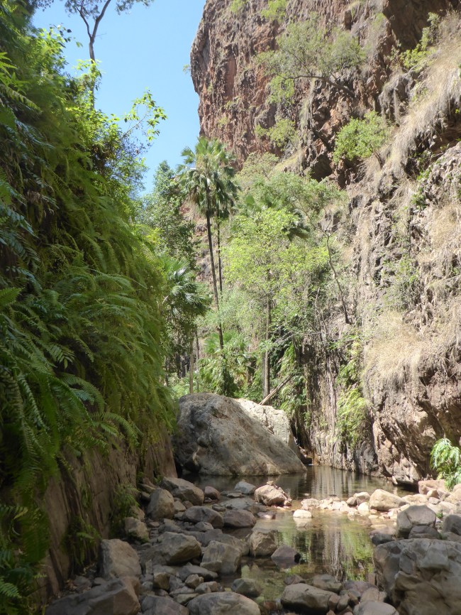 Up into El Questro Gorge.
