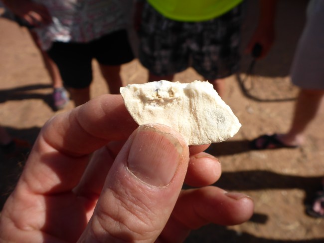 Don't eat the seeds or you'll be needing a cork!