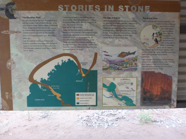 The ancient story of the reef.