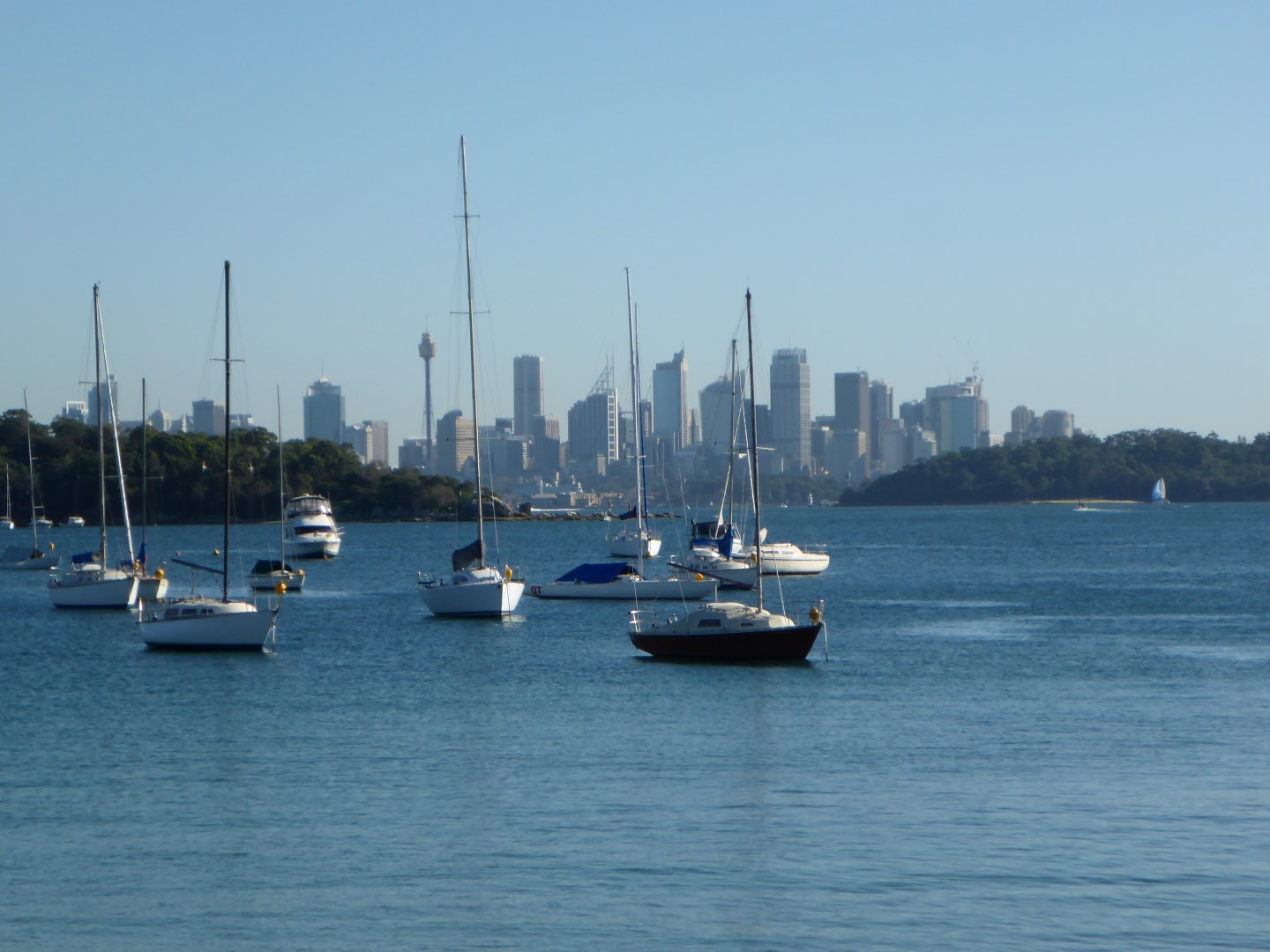 Watson's Bay with Sydney CBD behind it.