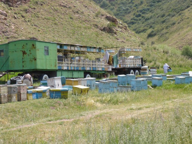 Bee keeping is very common in these areas and will often be for sale at small roadside stalls.