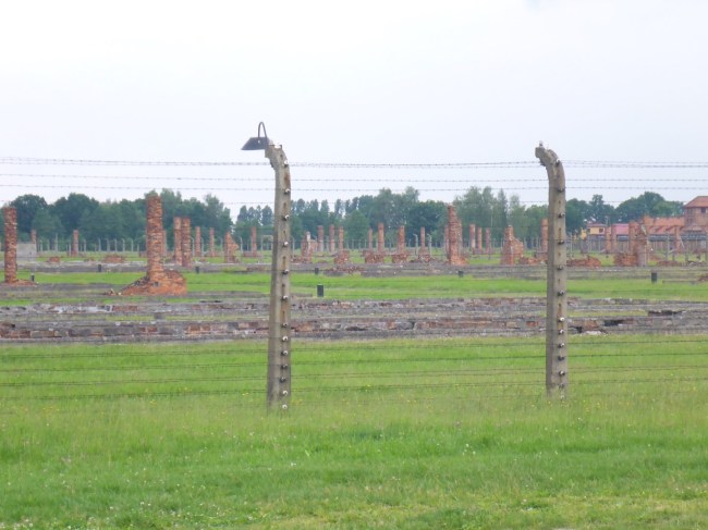 The camps were vast. Fireplaces and chimneys are all that's left of the wooden buildings.