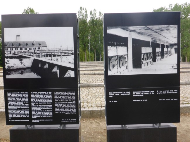 Photos of the gas chambers and crematoria taken by the Nazis.