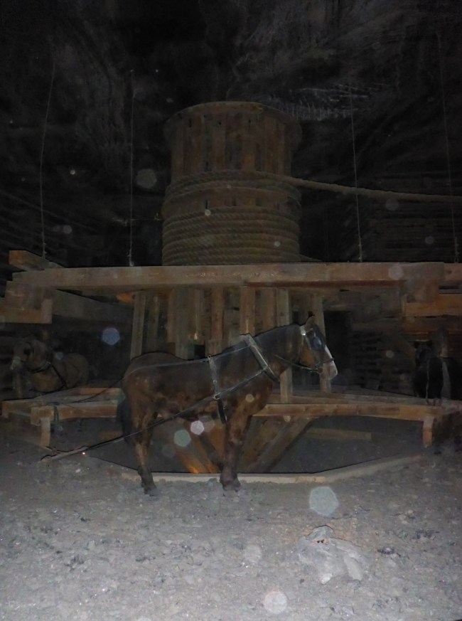 Part of the old winching gear.