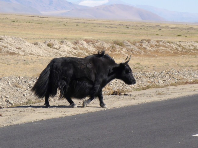 Wearing his winter coat.
