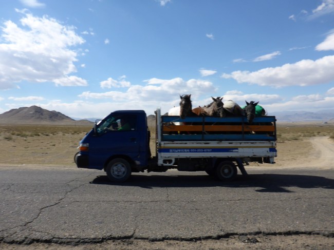 Horses but where's the box?