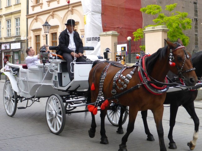 Get taken for a ride.