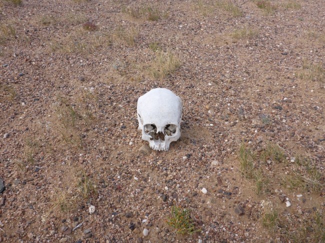 I counted seven skulls lying around, plus various other bones.