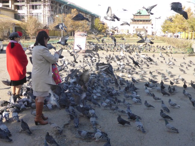 Feed the Birds, Tuppence a Bag.