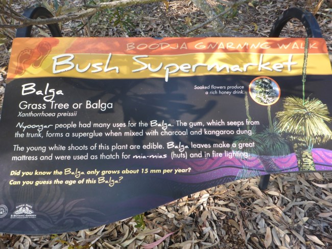 And another dedicated to traditional uses of plants.