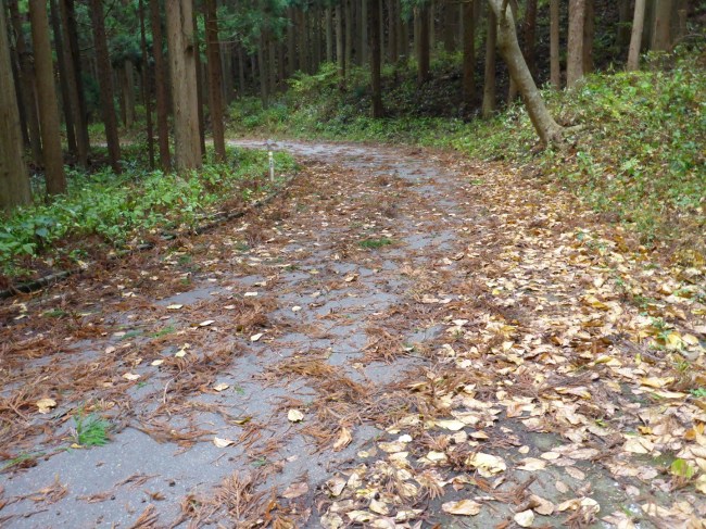 Tricky riding to get up there.