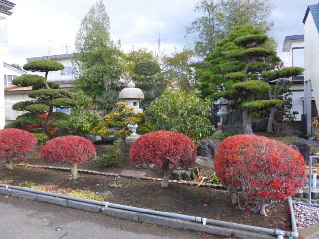 The Japanese definitely know how to create a lovely garden.