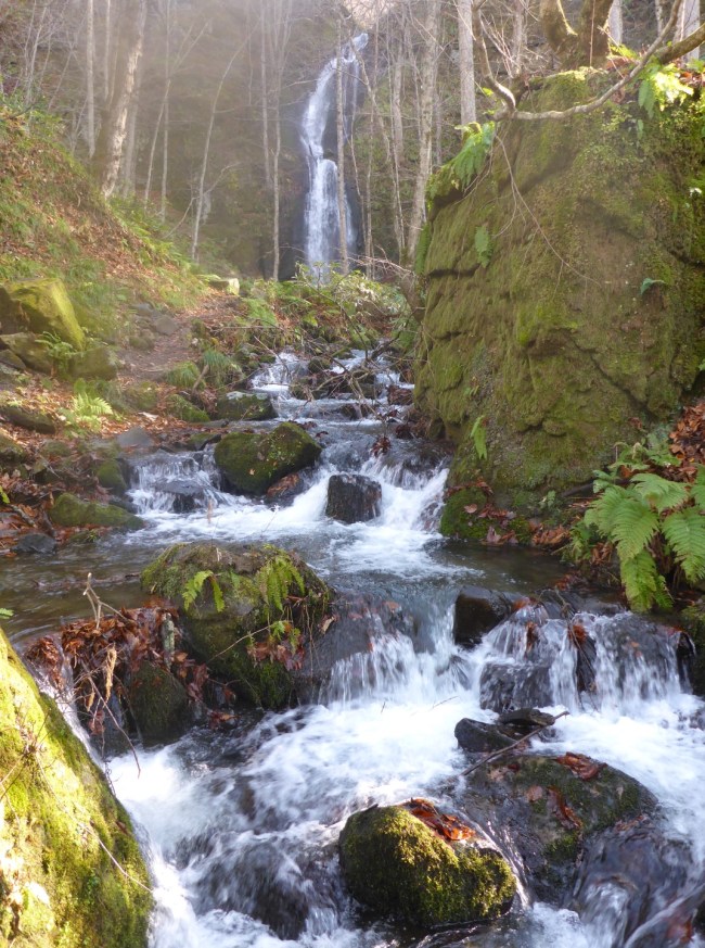 One of the many waterfalls in the Oirase Gorge.