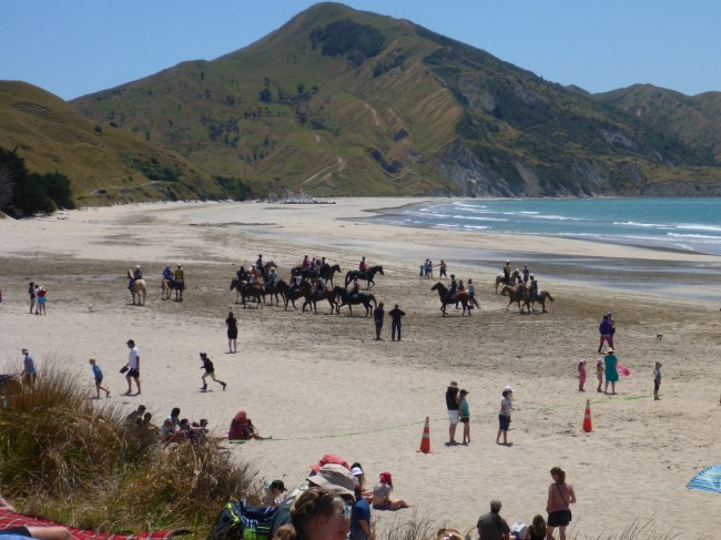 The horses warm up before their race.