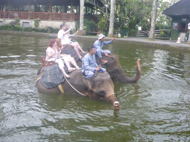 Cooling down after a walk.