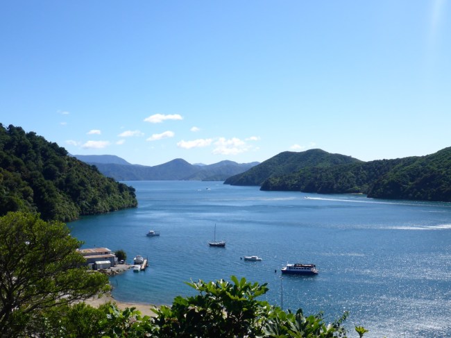Queen Charlotte Sound. Beautiful coastline.