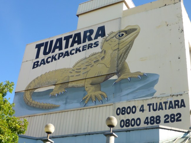 Tuatara Lizard.