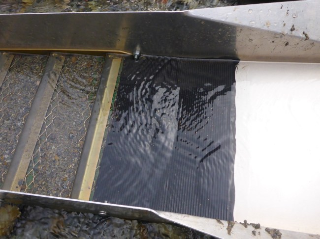 Something to show for his efforts.