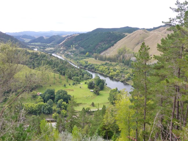 The Whanganui River.