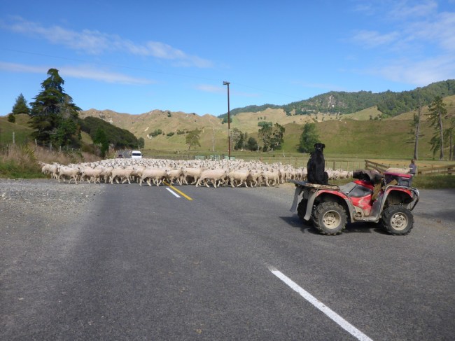 A fairly common country scene.