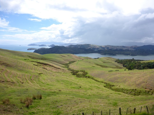 Up on the Coromandel.