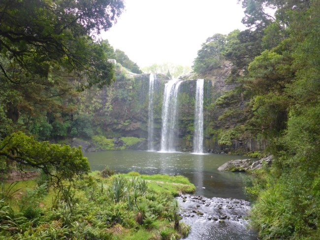 Whangerai Falls.