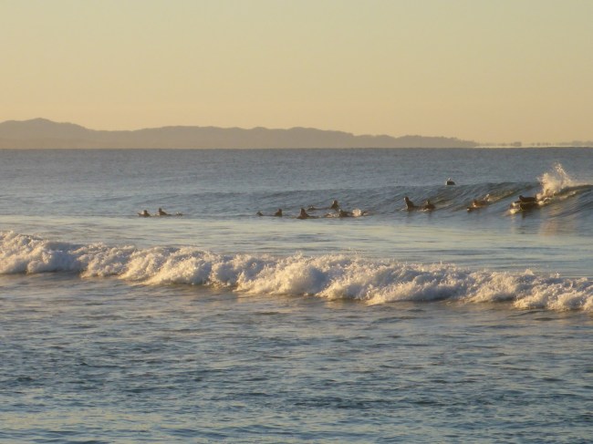 Waiting for THAT wave.