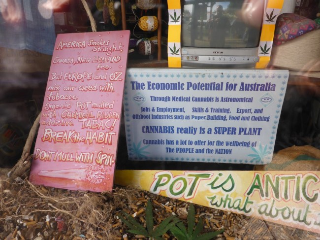 Making the political point about marijuana.