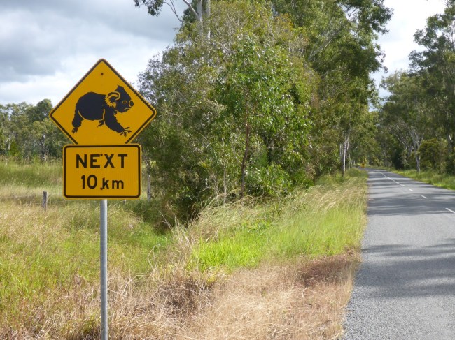 Plenty of signs but no bears.