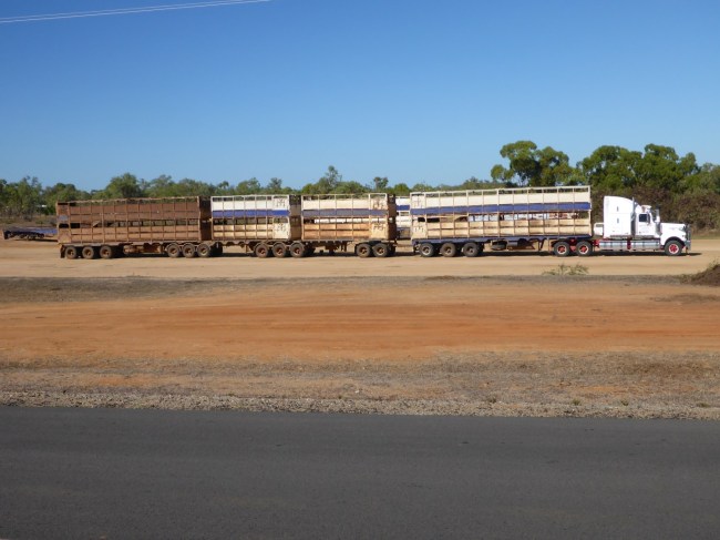 ... you'd prefer not to meet one of these.