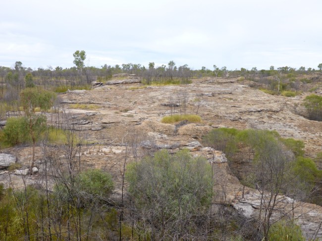 Very little plant life on the top.