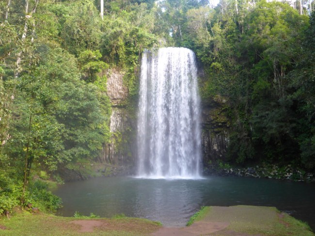 Millaa Millaa Falls.