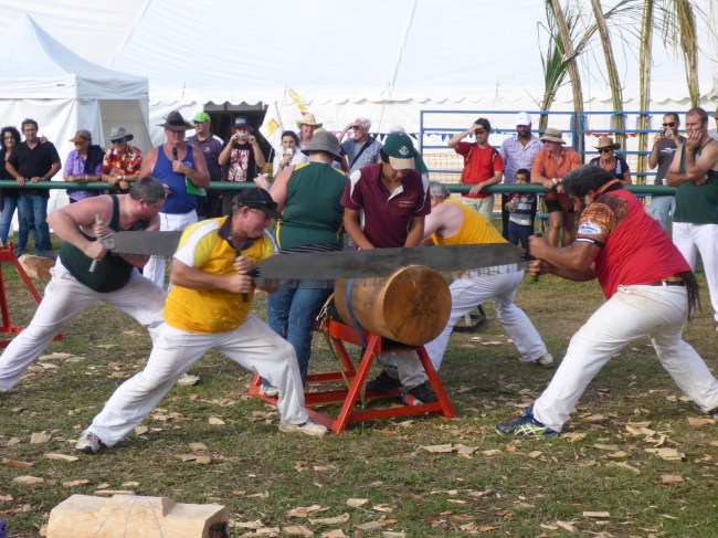 A log, a saw. It must be the log sawing competition.