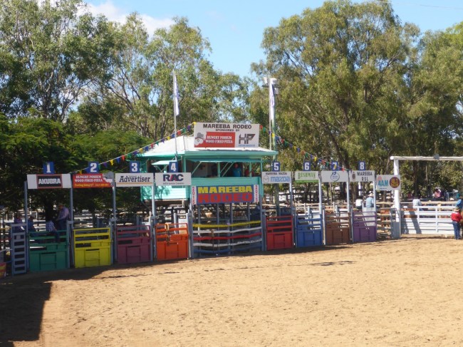 The chutes from where the broncs and bulls leap out.