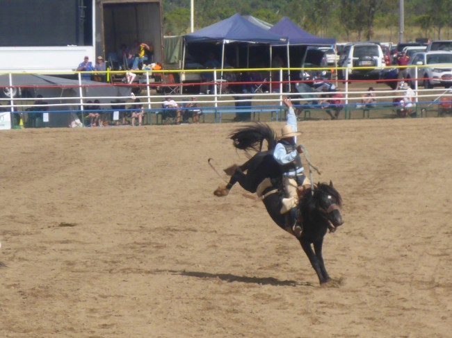 Ride him cowboy. Yeeha!